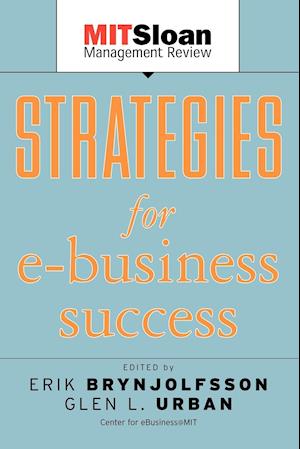 Strategies for E–Business Success