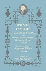 Wilson Families in Colonial Virginia and Related Mason, Seawell, Goodrich, Boush Families: Ancestors and Kin of Benjamin Wilson (1733-1814) 