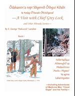 A Visit with Chief Grey Lock and Other Abenaki Stories, Book 1