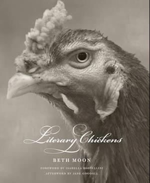 Literary Chickens
