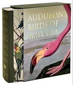 Audubon's Birds of America : Baby Elephant Folio 