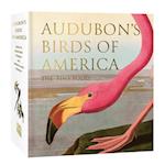 Audubon's Birds of America