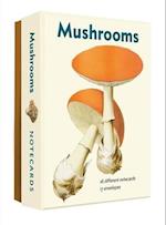 Mushrooms Detailed Notecard Set