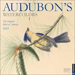 Audubon’s Watercolors 2024 Wall Calendar