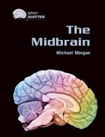 Morgan, M:  The Midbrain