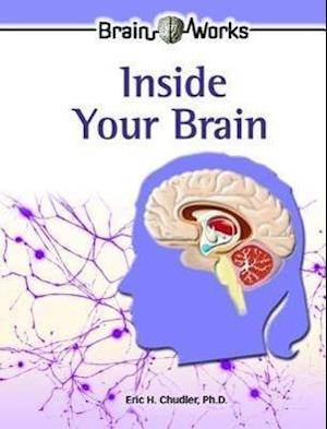 Inside Your Brain