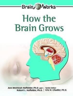 How the Brain Grows