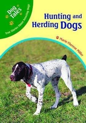 Hunting and Herding Dogs