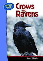 Crows and Ravens