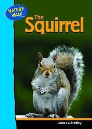 Bradley, J:  The Squirrel