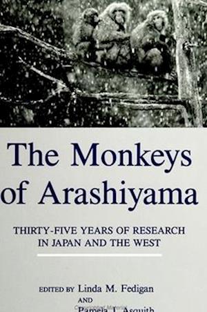 The Monkeys of Arashiyama