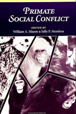 Primate Social Conflict