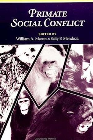 Primate Social Conflict