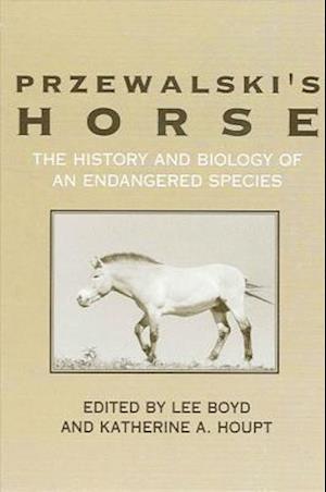 Przewalski's Horse
