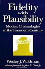 Fidelity with Plausibility