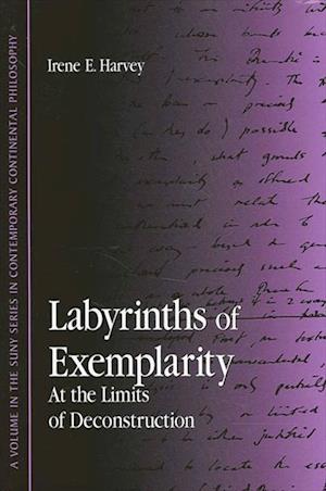 Labyrinths of Exemplarity