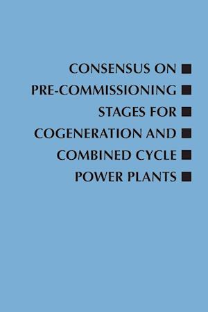 Consensus on Pre-Commissioning Stages for Cogeneration and Combined Cycle Power Plants