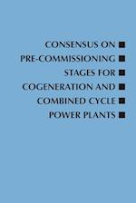 Consensus on Pre-Commissioning Stages for Cogeneration and Combined Cycle Power Plants