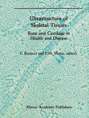 Ultrastructure of Skeletal Tissues