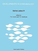 Saline Lakes IV