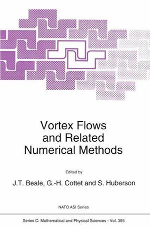 Vortex Flows and Related Numerical Methods