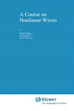 A Course on Nonlinear Waves