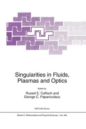 Singularities in Fluids, Plasmas and Optics