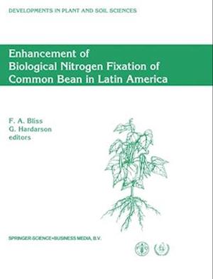 Enhancement of Biological Nitrogen Fixation of Common Bean in Latin America