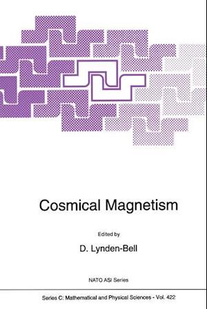 Cosmical Magnetism