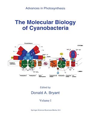 The Molecular Biology of Cyanobacteria