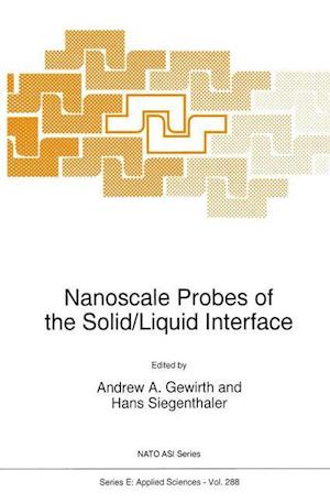 Nanoscale Probes of the Solid/Liquid Interface