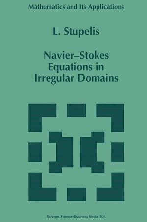 Navier-Stokes Equations in Irregular Domains