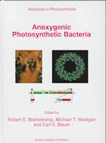 Anoxygenic Photosynthetic Bacteria