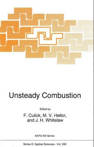 Unsteady Combustion