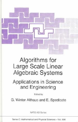 Algorithms for Large Scale Linear Algebraic Systems: