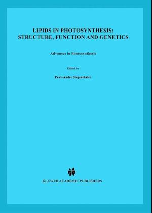 Lipids in Photosynthesis: Structure, Function and Genetics