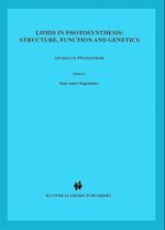 Lipids in Photosynthesis: Structure, Function and Genetics