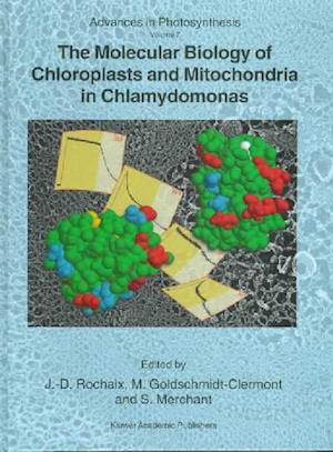 The Molecular Biology of Chloroplasts and Mitochondria in Chlamydomonas