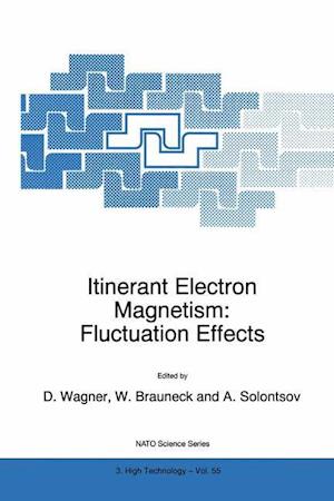 Itinerant Electron Magnetism: Fluctuation Effects