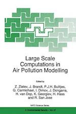 Large Scale Computations in Air Pollution Modelling