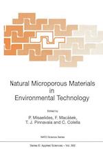 Natural Microporous Materials in Environmental Technology