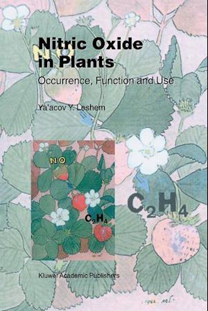 Nitric Oxide in Plants