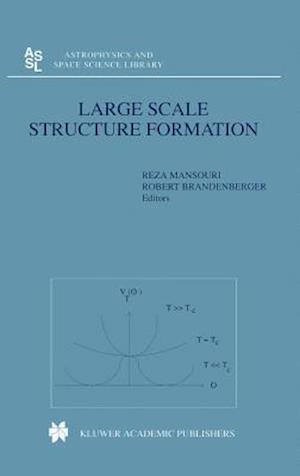 Large Scale Structure Formation