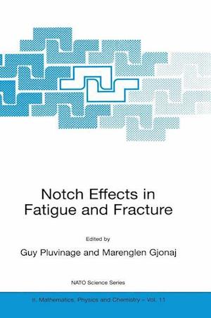 Notch Effects in Fatigue and Fracture