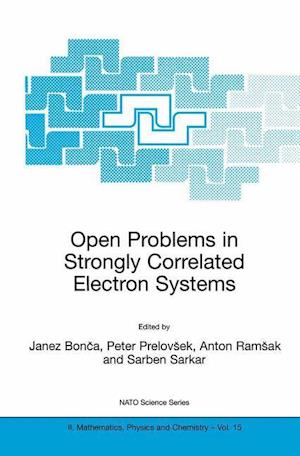 Open Problems in Strongly Correlated Electron Systems