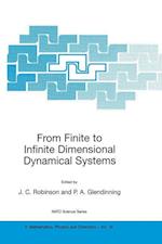 From Finite to Infinite Dimensional Dynamical Systems