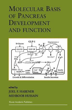 Molecular Basis of Pancreas Development and Function