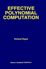 Effective Polynomial Computation