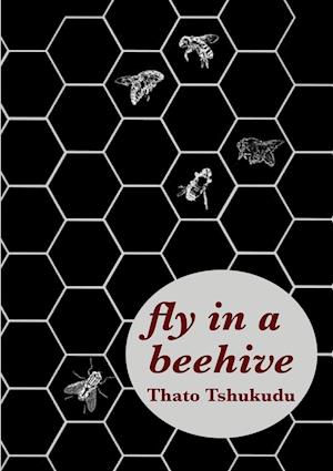 fly in a beehive