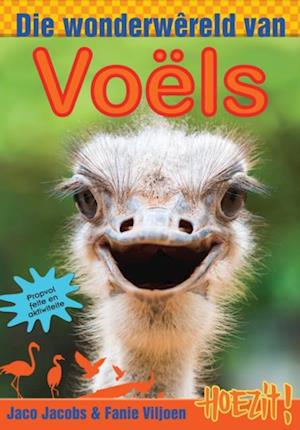 Hoezit 5: Die wonderwêreld van voëls